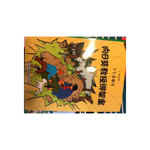 丁丁歷險(xiǎn)記·大開本經(jīng)典收藏版（全集22冊(cè)）