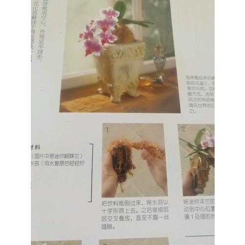 最基礎的10種樹形盆景