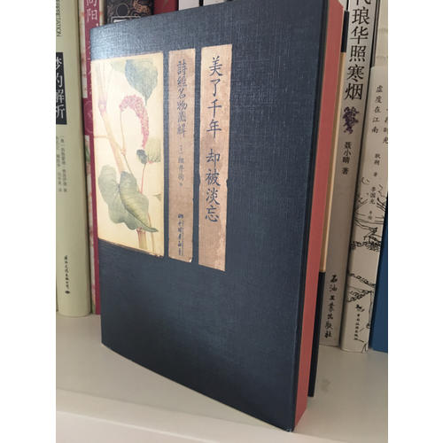 美了千年，卻被淡忘：詩經(jīng)名物圖解