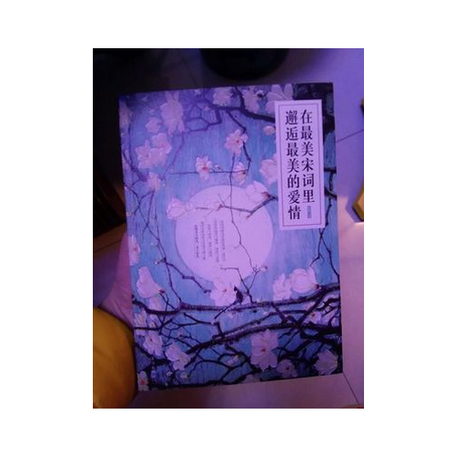 在最美宋詞里邂逅最美的愛情