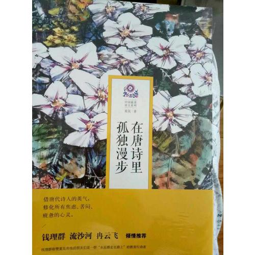 在唐詩里孤獨(dú)漫步