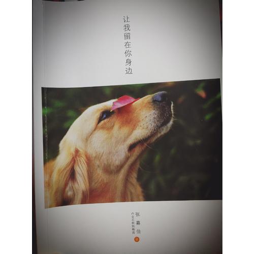 讓我留在你身邊