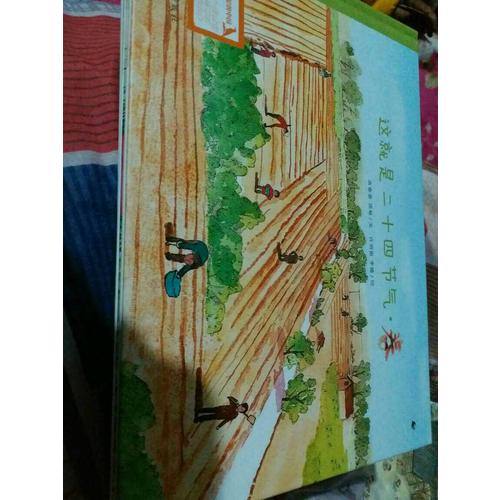 這就是二十四節氣（文津圖書獎獲獎繪本，共4冊）