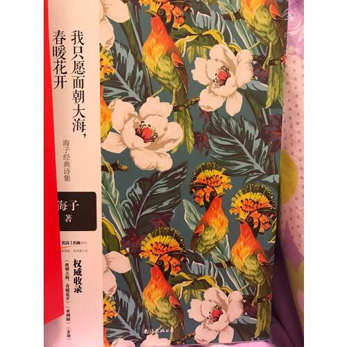 我只愿面朝大海，春暖花開·海子經(jīng)典詩集