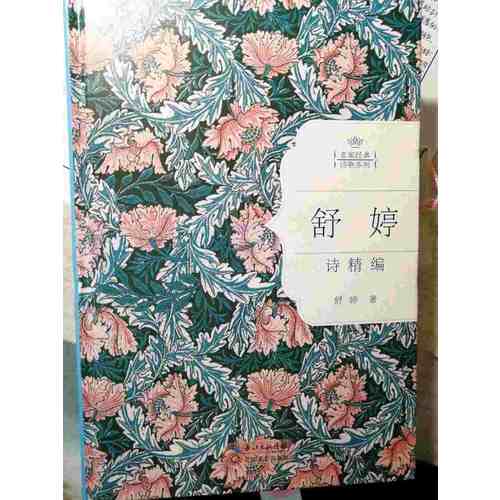 舒婷詩精編：名家經典詩歌系列