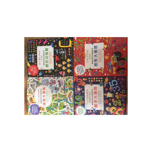 神奇的專注力訓練游戲書(全四冊)