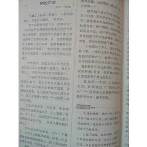 中考滿分作文2017