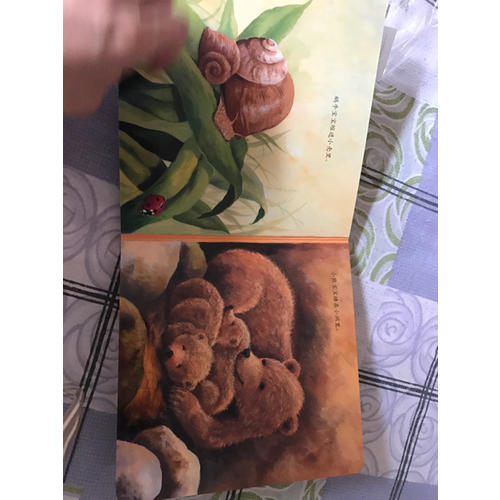 寶寶的及時本睡前認知書·晚安，寶貝