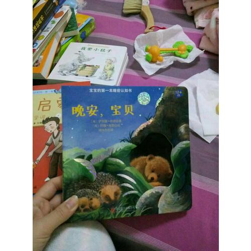 寶寶的及時本睡前認知書·晚安，寶貝