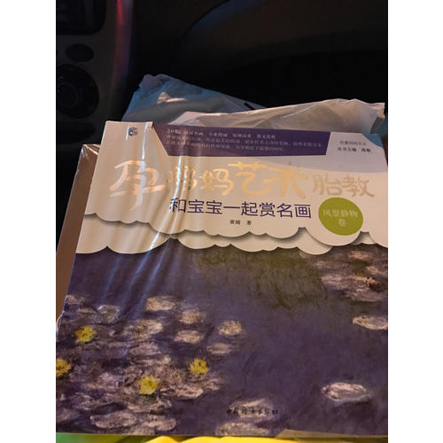 孕媽媽藝術胎教 和寶寶一起賞名畫·風景靜物卷