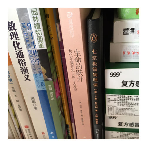 生命的躍升：40億年演化史上的十大發明