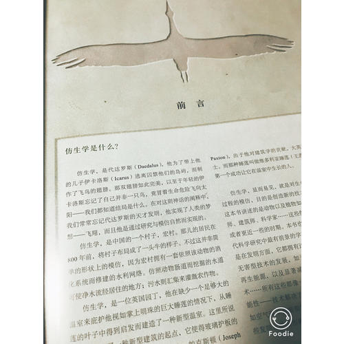 當(dāng)自然賦予科技靈感
