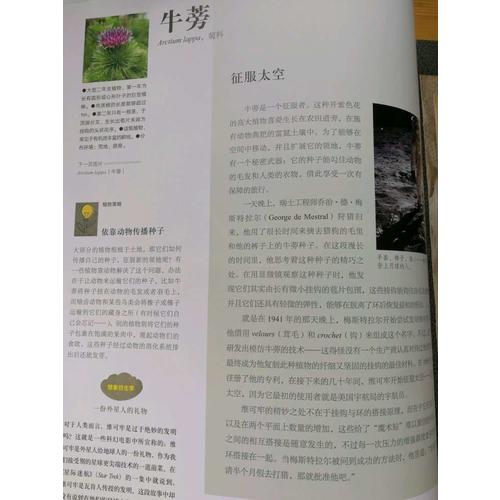 當(dāng)自然賦予科技靈感