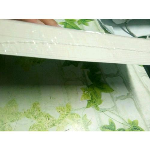 魯迅傳（許壽裳版領讀經(jīng)典）