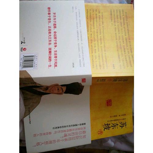 蘇東坡傳