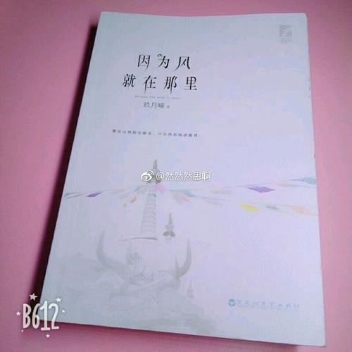 因為風就在那里（全兩冊）