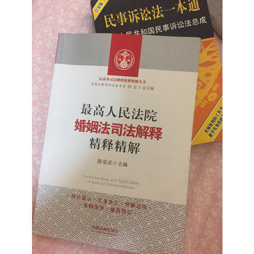 人民法庭民事審判實(shí)務(wù)問(wèn)答