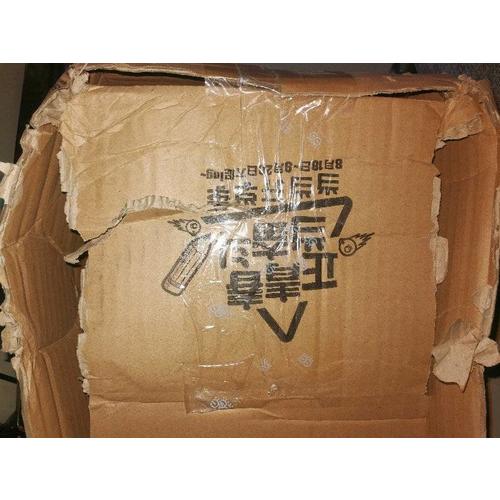 盛唐，狂人也寂寞：李白傳