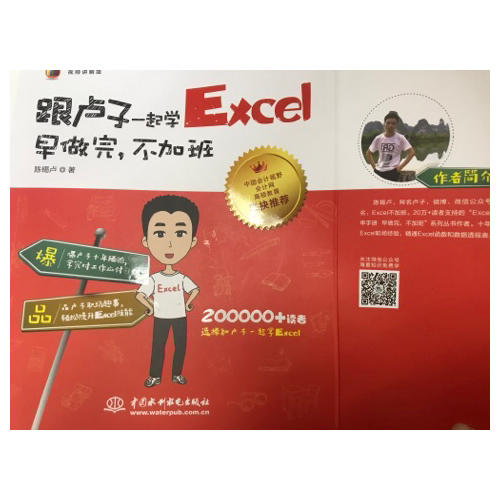 跟盧子一起學(xué)Excel 早做完，不加班（全彩視頻講解版）