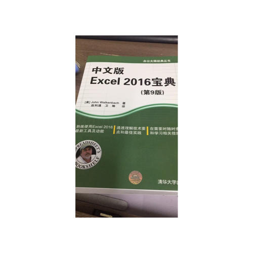 中文版Excel 2016寶典(第9版)