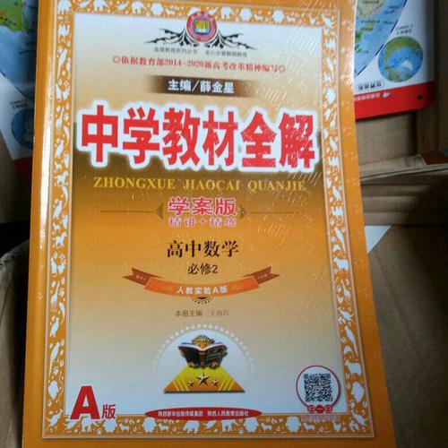 2017中學(xué)教材全解 高中數(shù)學(xué) 必修2