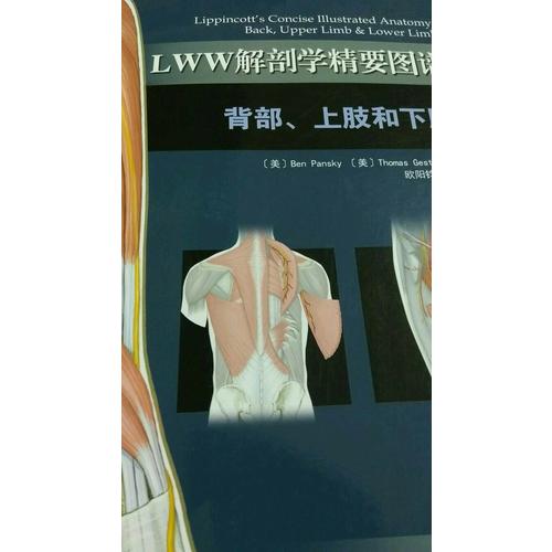 LWW解剖學(xué)精要圖譜·背部上肢和下肢
