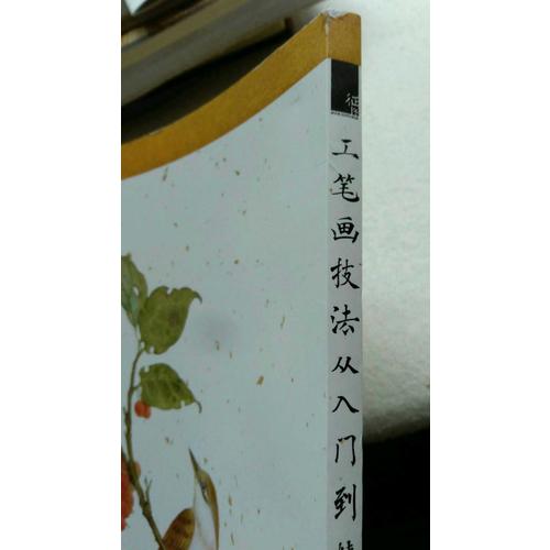 工筆畫技法從入門到精通