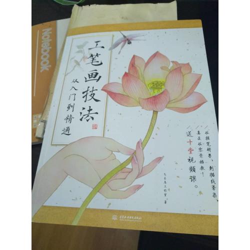 工筆畫技法從入門到精通