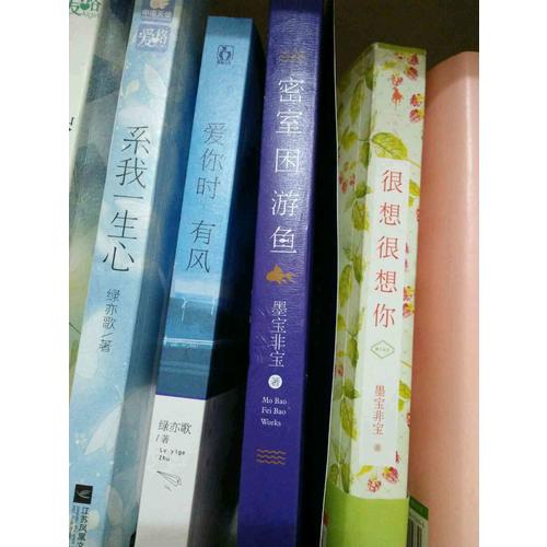 愛(ài)你時(shí)有風(fēng)