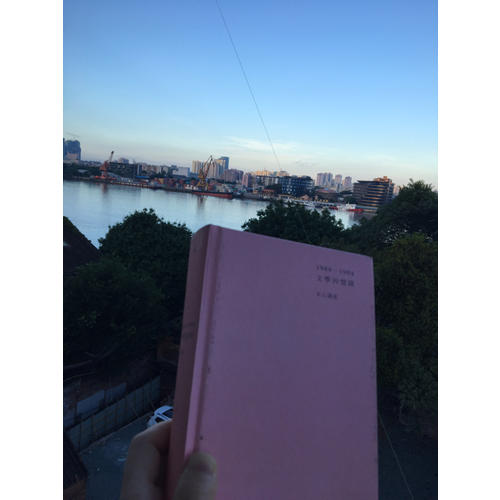 文學回憶錄