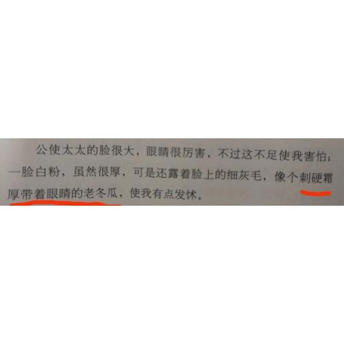貓城記