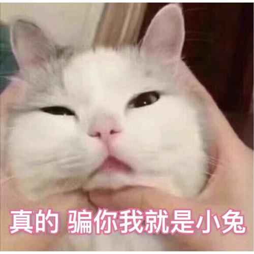 一個(gè)人的美食之旅
