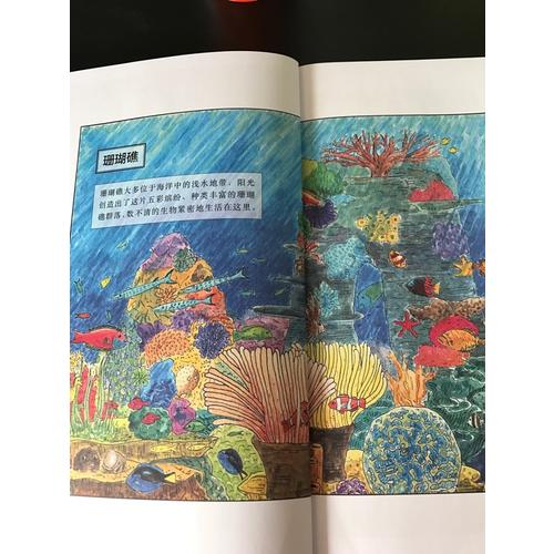 海洋館里看不到的：海洋動物世界