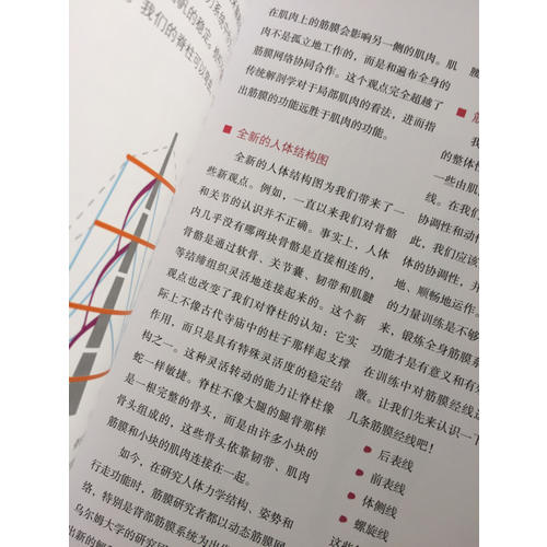 筋膜健身：系統(tǒng)科學(xué)的筋膜訓(xùn)練方法全書