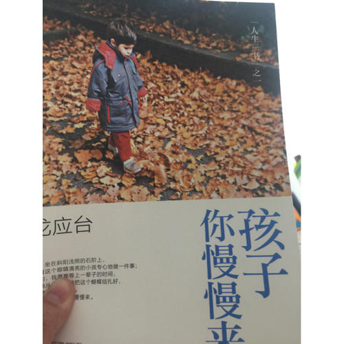 孩子你慢慢來：龍應臺