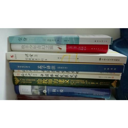 圣女的救濟（東野圭吾經典長篇小說）