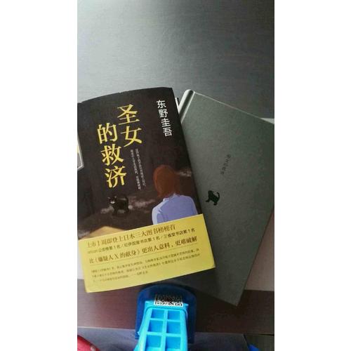 圣女的救濟（東野圭吾經典長篇小說）