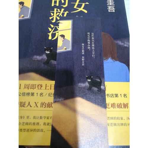 圣女的救濟（東野圭吾經典長篇小說）