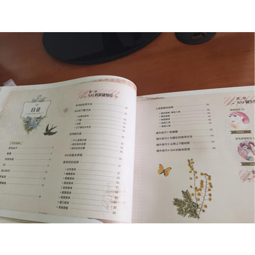 有SAI就行少女系數碼繪教程