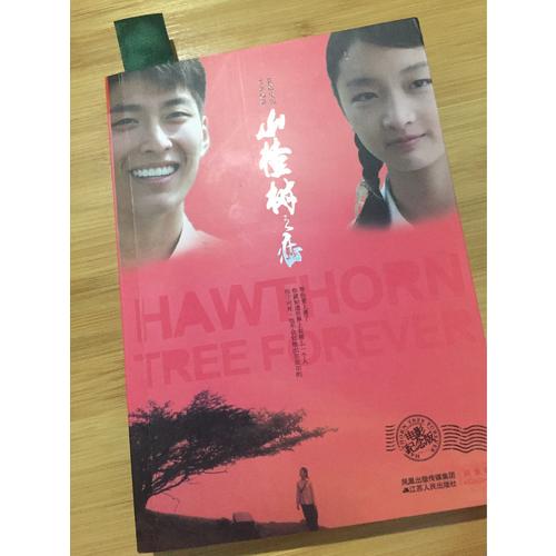 山楂樹之戀