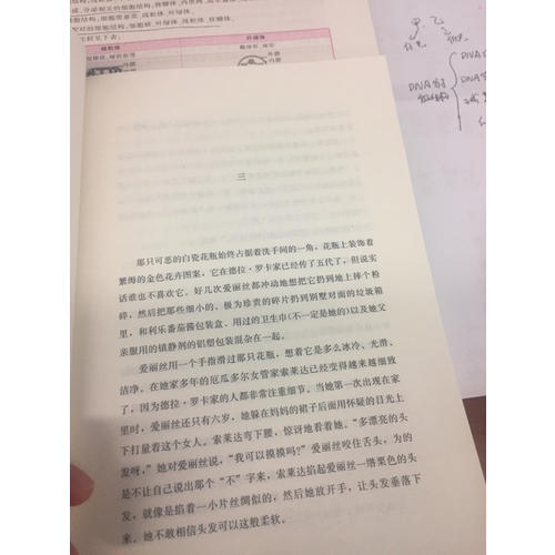 質數的孤獨