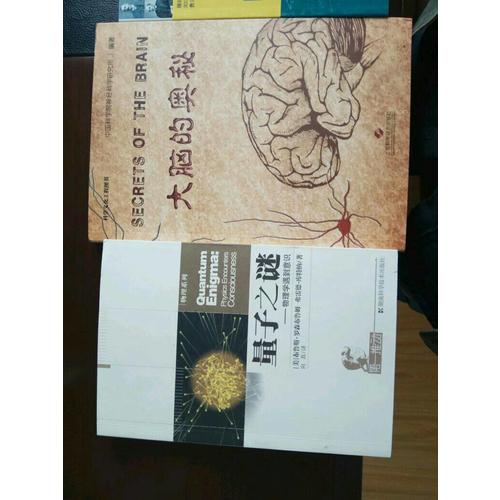 及時推動叢書物理系列量子之謎·物理學遇到意識