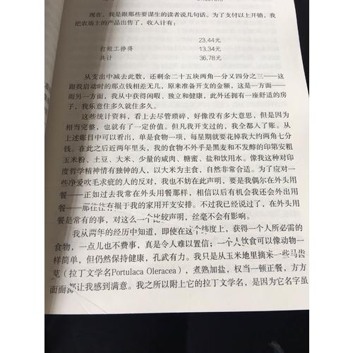 瓦爾登湖