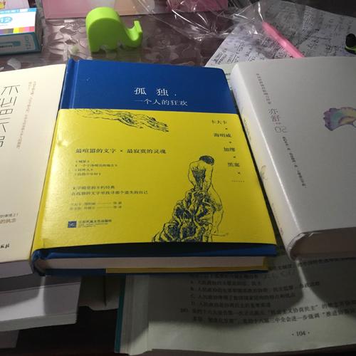 孤獨，一個人的狂歡