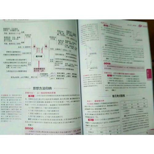 2018春 中學教材全解 九年級化學下 人教版