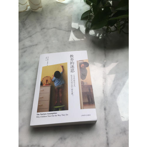 教養的迷思：父母的教養方式能否決定孩子的人格發展？