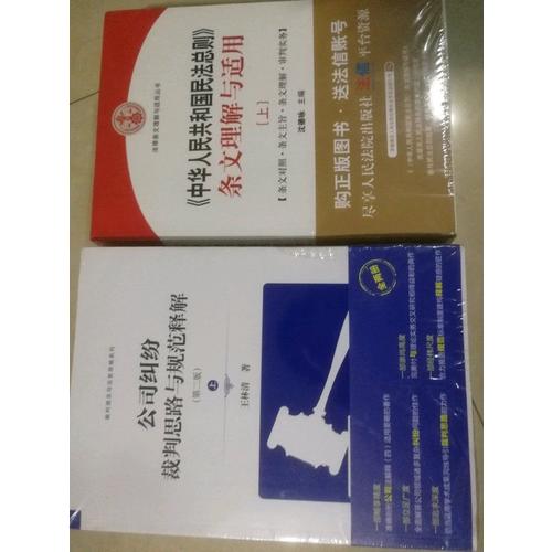 公司糾紛裁判思路與規(guī)范釋解（第二版）