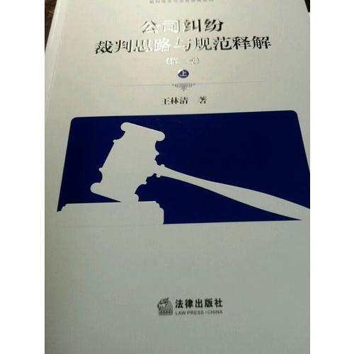 公司糾紛裁判思路與規(guī)范釋解（第二版）
