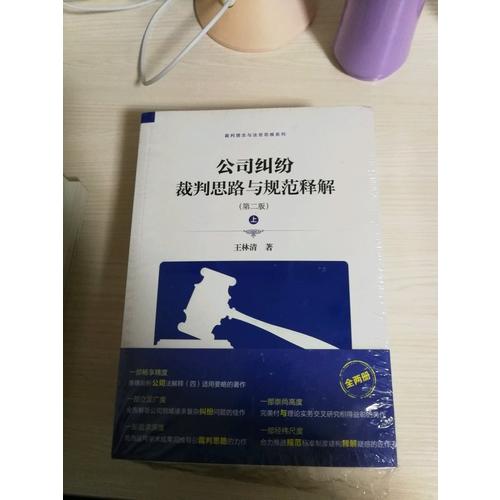 公司糾紛裁判思路與規(guī)范釋解（第二版）