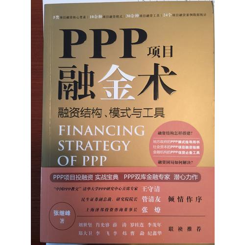 PPP項目融金術：融資結構、模式與工具